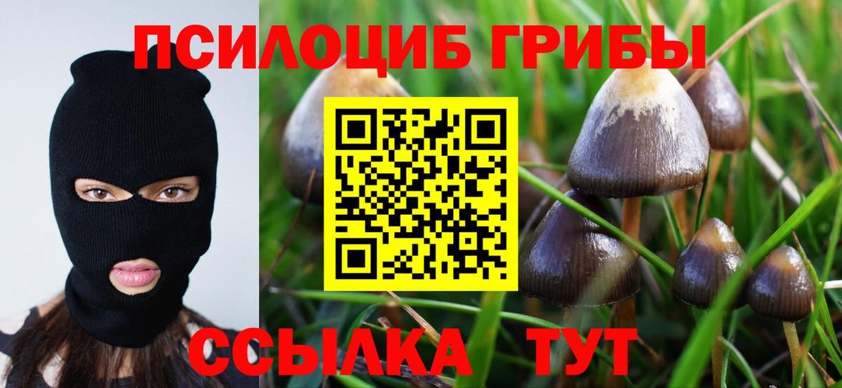 Галлюциногенные грибы мухоморы Сарапул